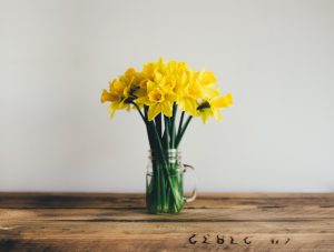 HR Spring Clean - Daffodils on table